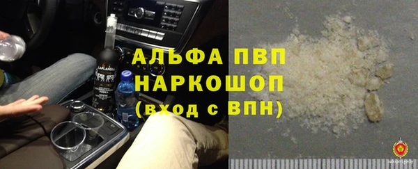 стафф Богданович