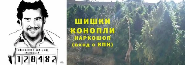 apvp Богородск