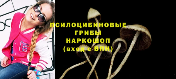 синтетический гашиш Богородицк