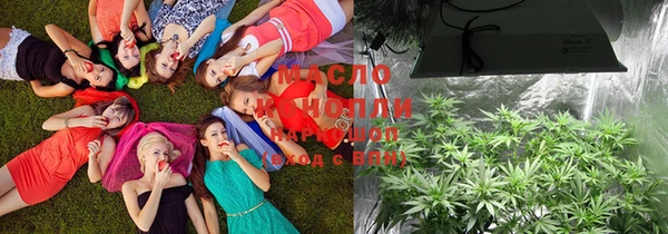 синтетический гашиш Богородицк