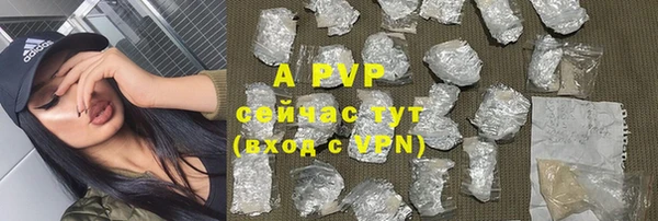 apvp Богородск
