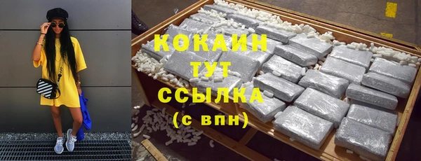 стафф Богданович