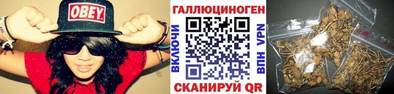 кракен как войти  купить закладку  Валуйки  Псилоцибиновые грибы прущие грибы 