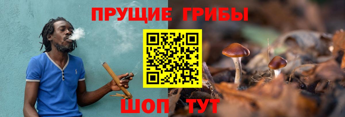 Псилоцибиновые грибы Psilocybine cubensis  где купить наркоту  Валуйки  Вход с VPN 